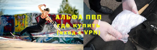 СК Богородск