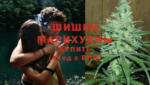 дживик Арсеньев