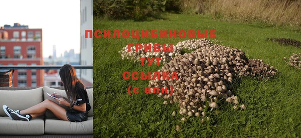 СК Богородск