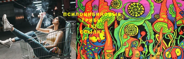 СК Богородск