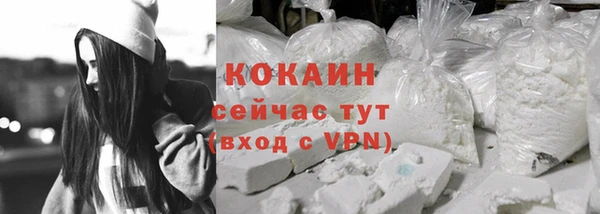 СК Богородск